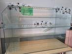 Grote cavia flat, Ophalen, Zo goed als nieuw, Cavia