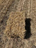 goudgeel stro en hooi te koop alle formaten