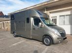 Paardencamionette met 5 zitplaatsen (Opel movano), Enlèvement, Utilisé, Remorque 2 chevaux, Aluminium