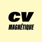 Rédacteur de CV Professionnel, Diversen, Overige Diversen, Ophalen of Verzenden, Nieuw