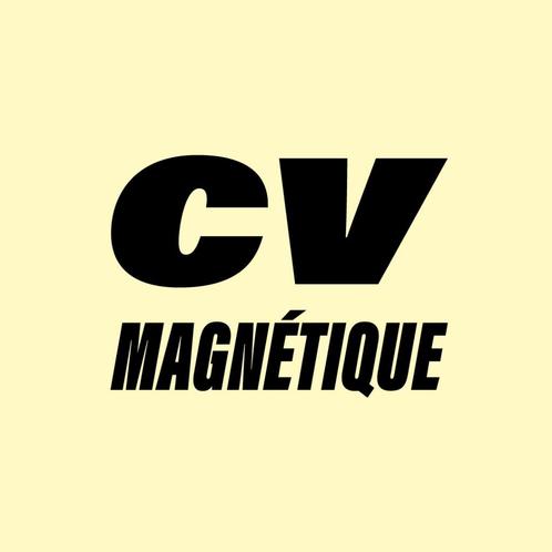 Rédacteur de CV Professionnel, Diversen, Overige Diversen, Nieuw, Ophalen of Verzenden