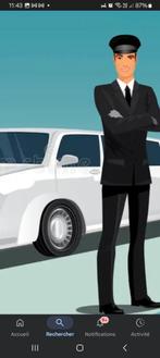 Chauffeur, Offres d'emploi