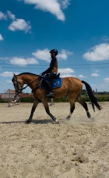 ERVAREN bijrijder gezocht (18+) beschikbaar voor biedingen