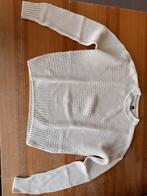 Witte pull, Vêtements | Hommes, Pulls & Vestes, Enlèvement ou Envoi, Porté, Blanc, H&M
