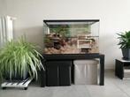 Luxe verblijf voor Knaagdieren - Groot Terrarium, Dieren en Toebehoren, Knaagdieren en Konijnen | Hokken en Kooien, Nieuw, Minder dan 60 cm