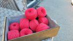 10 pelotes  fil tricot  /total 330 gr, Ophalen of Verzenden, Nieuw, Breien