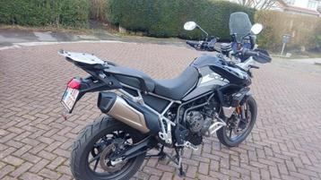 TRIUMPH TIGER 900 GT  beschikbaar voor biedingen