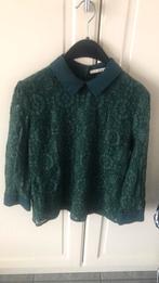 Blousje truitje kant maat 42, Kleding | Dames, Blouses en Tunieken, Ophalen of Verzenden, Zo goed als nieuw, Maat 42/44 (L)