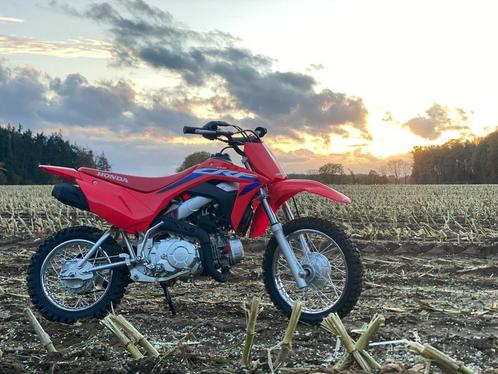 Te Huur - Honda CRF110F, Fietsen en Brommers, Minibikes, Midibikes en Pitbikes, Nieuw, Dirtbike, Ophalen