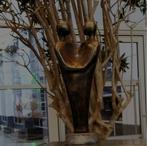 Div. beelden: Eensgezindheid - Gouden Paar - huwelijk enz