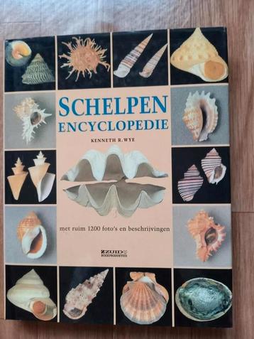 SCHELPENENCYCLOPEDIE disponible aux enchères