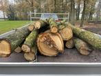 Eiken hout, Tuin en Terras, Brandhout, Minder dan 3 m³, Ophalen, Eikenhout, Stammen