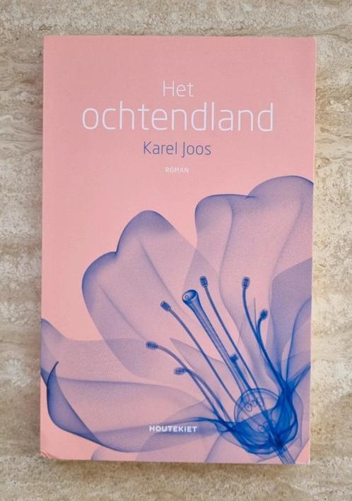 Het ochtendland van Karel Joos over een huwelijkscrisis, Boeken, Romans, Nieuw, België, Verzenden