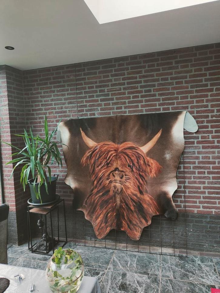 koeienvacht, Antiek en Kunst, Kunst | Overige Kunst, Ophalen of Verzenden