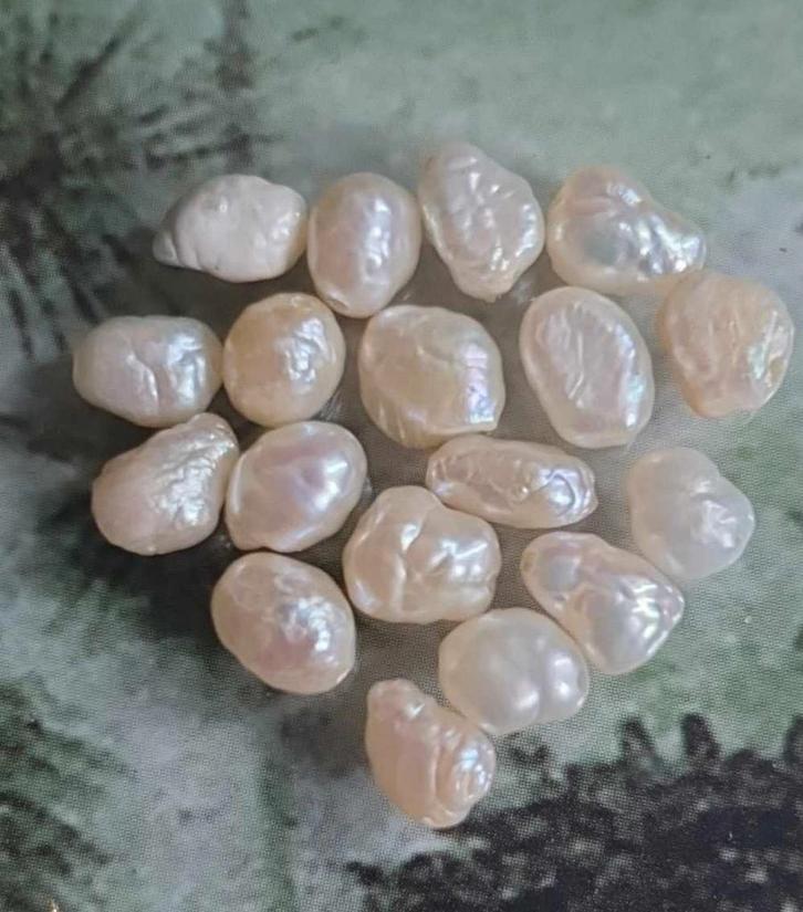 18 stuks echt pareltjes voor ring, armband of ketting., Antiek en Kunst, Curiosa en Brocante, Verzenden