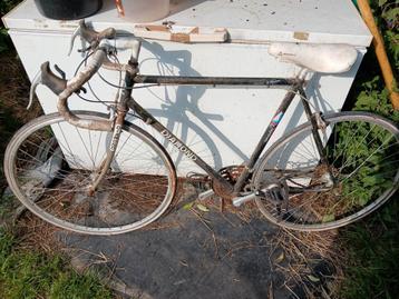 A vendre  beschikbaar voor biedingen