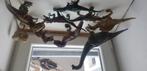 Schleich 8 dinosaurussen collectie, Ophalen, Zo goed als nieuw, Overige soorten
