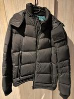 Winterjas boss nieuw, Vêtements | Hommes, Vestes | Hiver, Enlèvement, Neuf, Taille 48/50 (M)