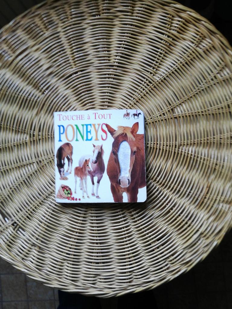 Touche à Tout. Poneys., Enlèvement ou Envoi, Comme neuf