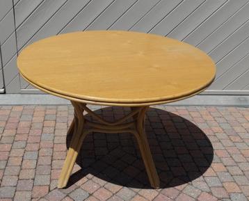 Rotantafel, Huis en Inrichting, Tafels | Salontafels, Ophalen, 50 tot 75 cm, Zo goed als nieuw, Rotan