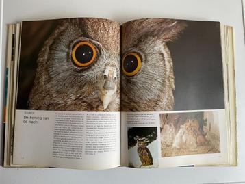 Wereld der Dieren: Mooi boek over het dierenrijk beschikbaar voor biedingen