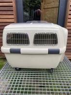 Transportbox hond, Dieren en Toebehoren, Ophalen, Gebruikt