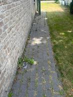 Klinkers : gratis uit te breken en mee te nemen, Ophalen, Gebruikt, Klinkers, 10 m² of meer