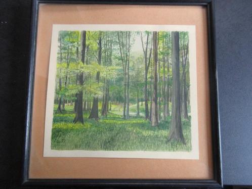 Aquarel "Sous Bois"door Lucien Boschmans, Antiek en Kunst, Kunst | Schilderijen | Klassiek, Ophalen of Verzenden