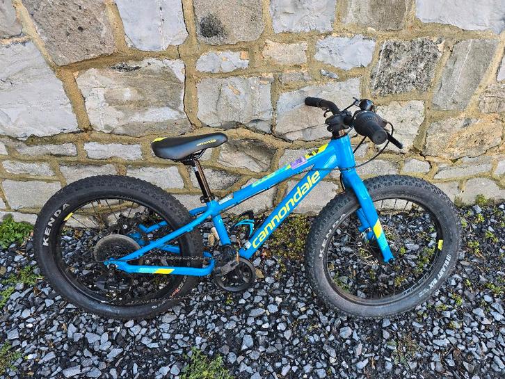 VTT enfant Cannondale Cujo 20", Vélos & Vélomoteurs, Vélos | Vélos pour enfant, Utilisé, 16 à 20 pouces, Enlèvement