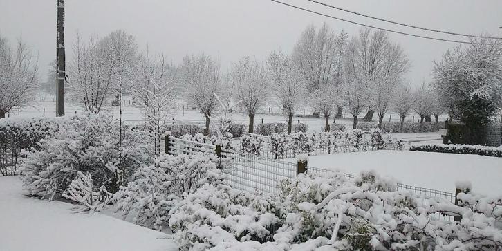 Maison de caractère prête à emménager à Renaix, Immo, Maisons à vendre, Province de Flandre-Orientale, 1000 à 1500 m², Maison individuelle