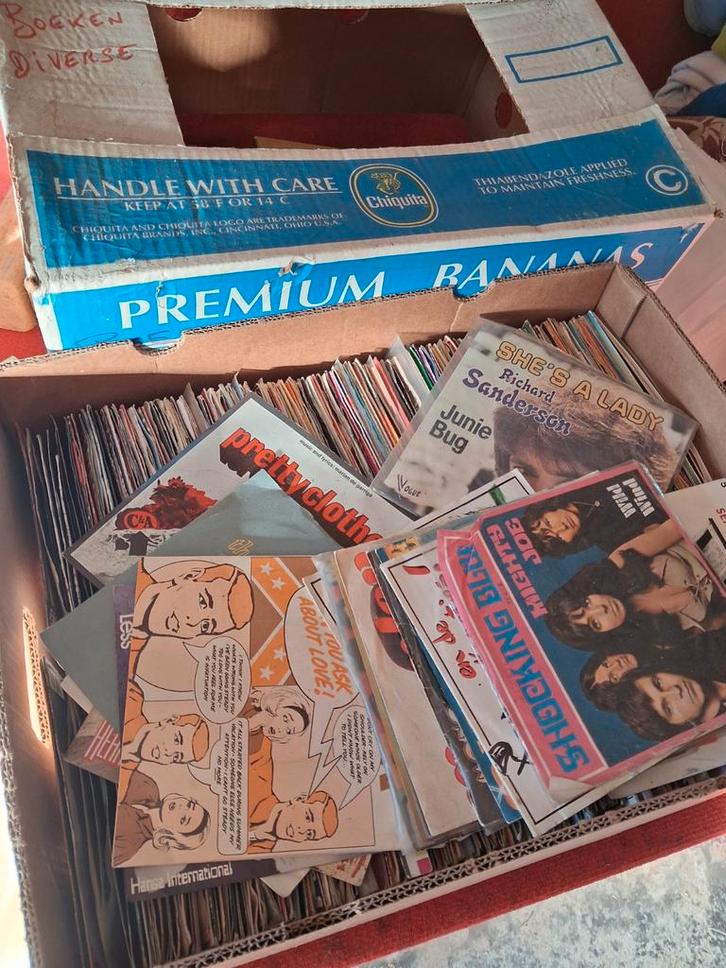 célibataires, CD & DVD, Vinyles Singles, Enlèvement