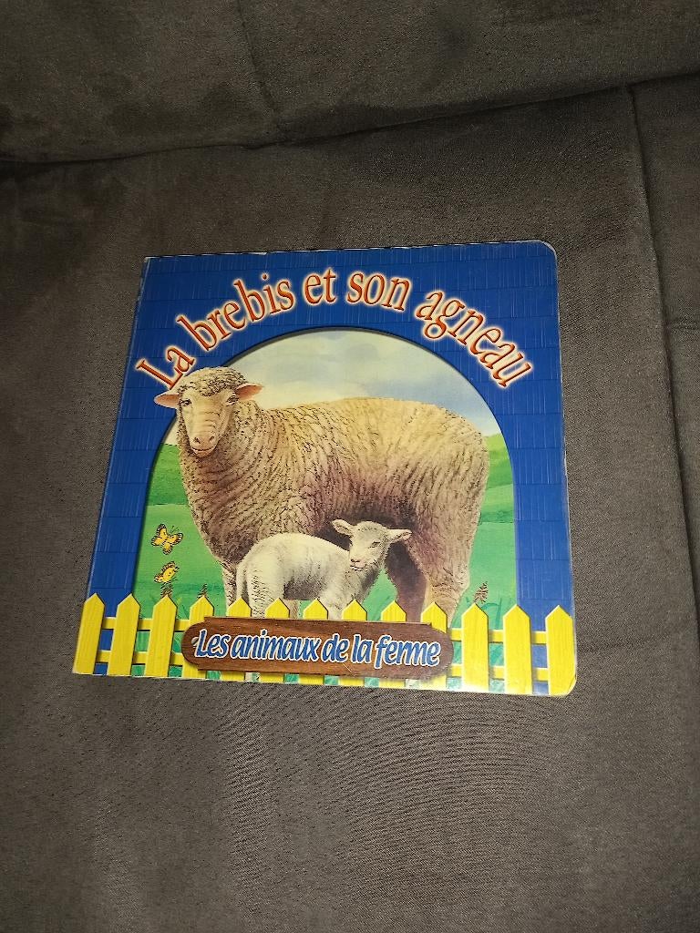 Livre la brebis et son agneau, Enlèvement ou Envoi