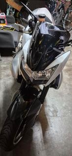 Kawasaki z1000 2009, Motos, Motos | Kawasaki, ABS, Permis Moto A, Plus de 35 kW, Particulier