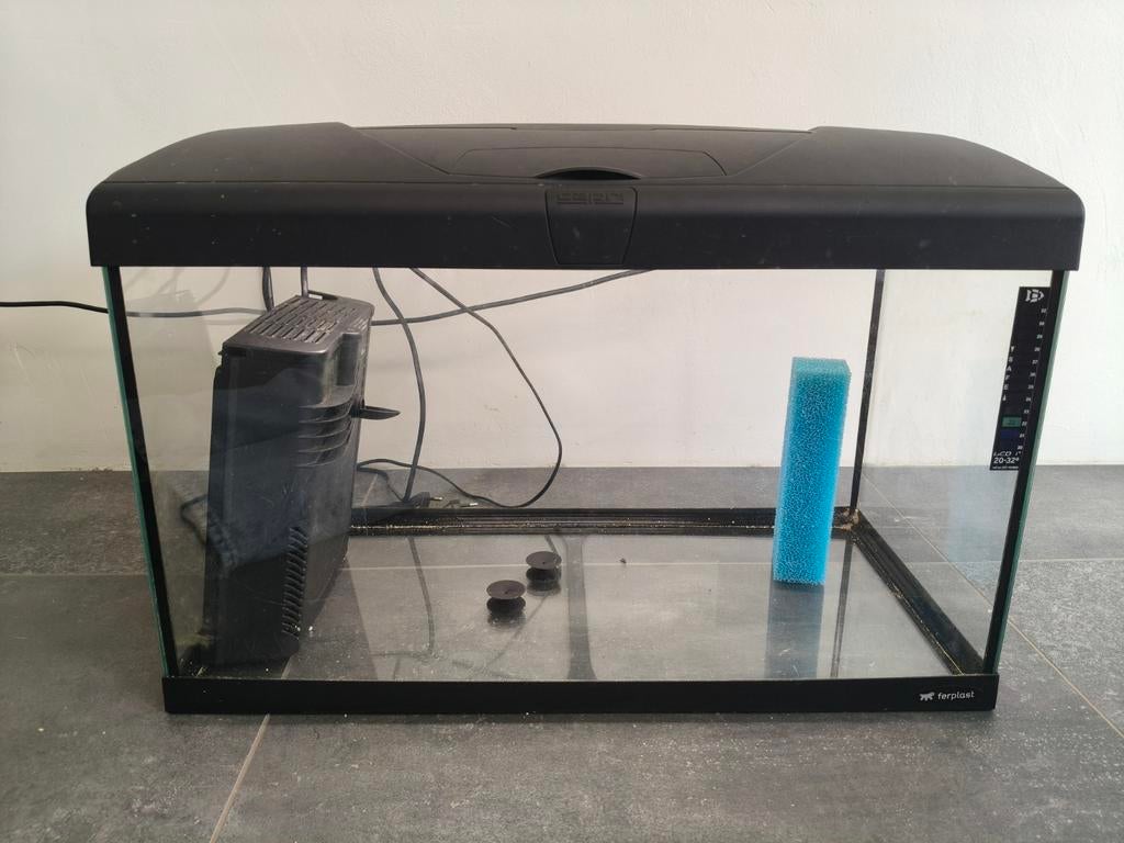 Aquarium 65l perfect voor beginner, Aquarium d'eau douce rempli, Chauffage, Enlèvement, Utilisé