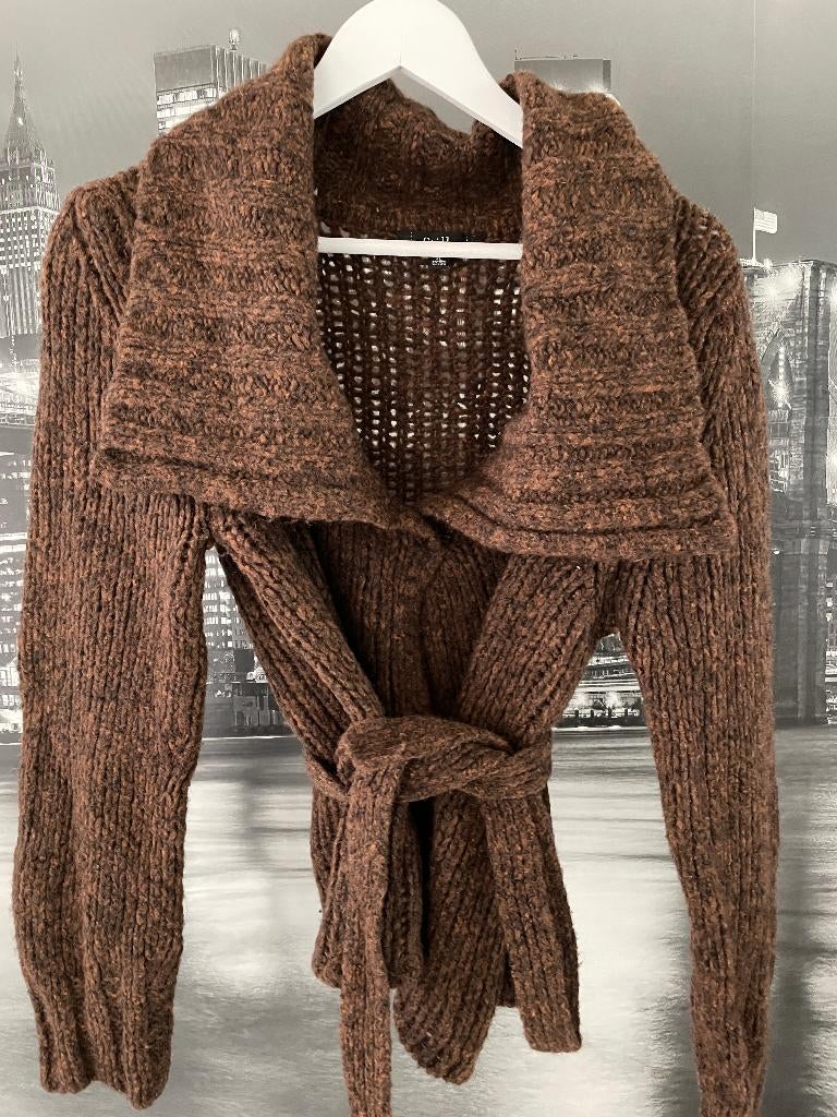 Pakket pulls cardigans wol - katoen - L, Kleding | Dames, Truien en Vesten, Gedragen, Maat 42/44 (L), Overige kleuren, Verzenden