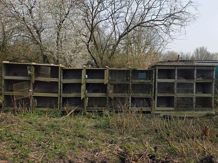Betonnen hok, Dieren en Toebehoren, Knaagdieren en Konijnen | Hokken en Kooien, Gebruikt, Kooi, 60 tot 90 cm, 75 tot 110 cm, Cavia