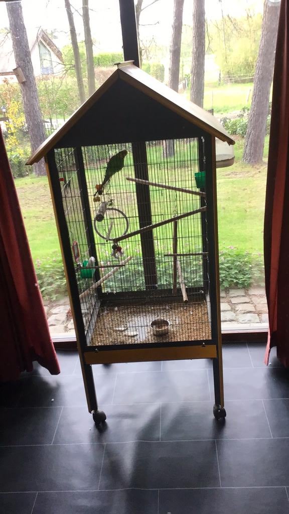 Parkieten hok met 4 vogels, Enlèvement, Utilisé, Métal, Cage à oiseaux