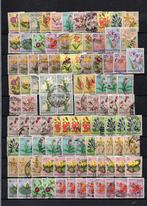 Congo belge et Congo pour la recherche, Envoi