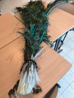 Plumes de paon, Enlèvement