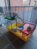 Cage gerbille ou souris, Kooi, Gebruikt, Minder dan 75 cm, Muis