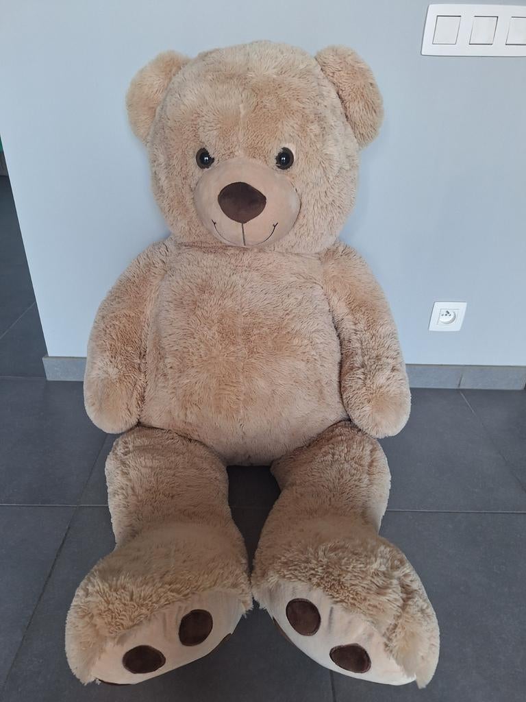 Grote teddy beer, Ophalen, Nieuw, Beer