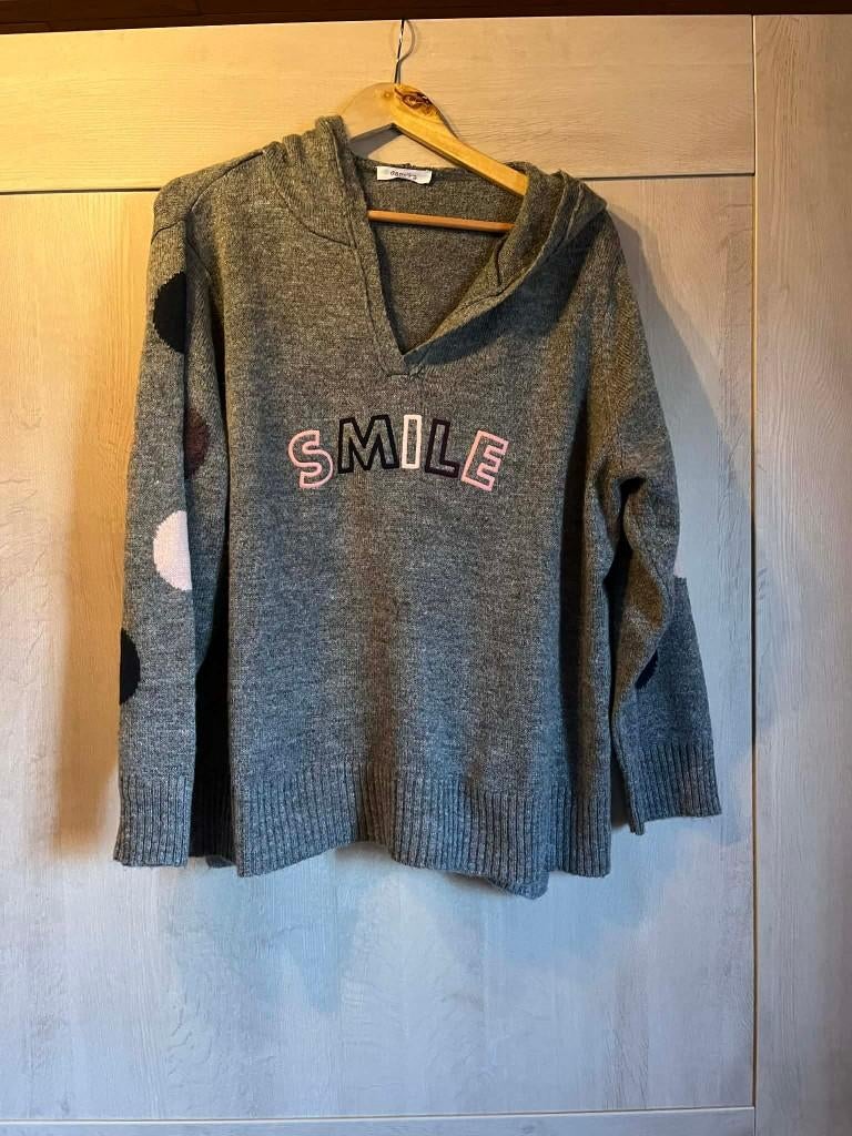 trui met kapje grijs paprika large 48, Kleding | Dames, Grote Maten, Trui of Vest, Ophalen of Verzenden, Zo goed als nieuw, Paprika