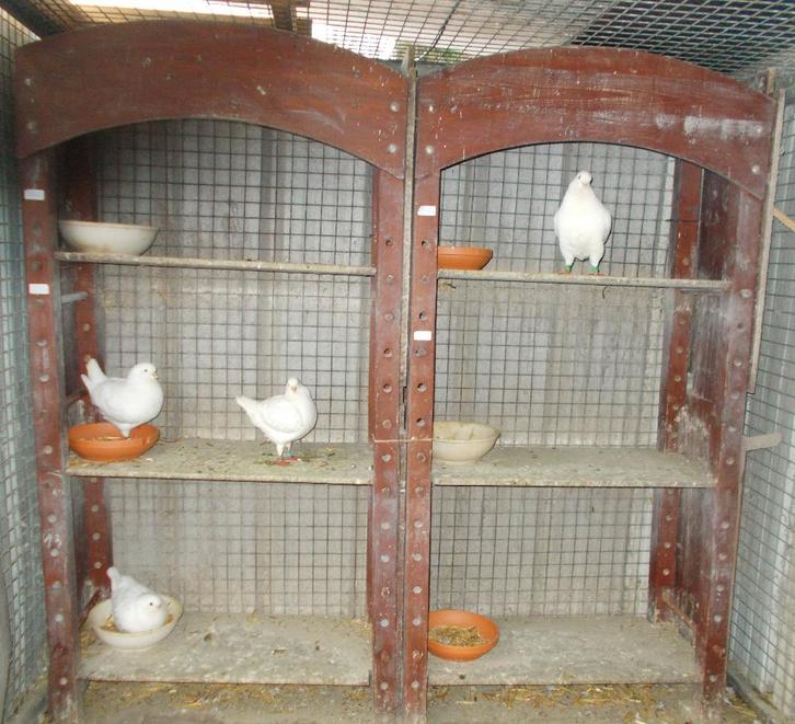 GRATIS 2 stevige Houten rekken ideaal stookhout, Huis en Inrichting, Overige Huis en Inrichting, Ophalen