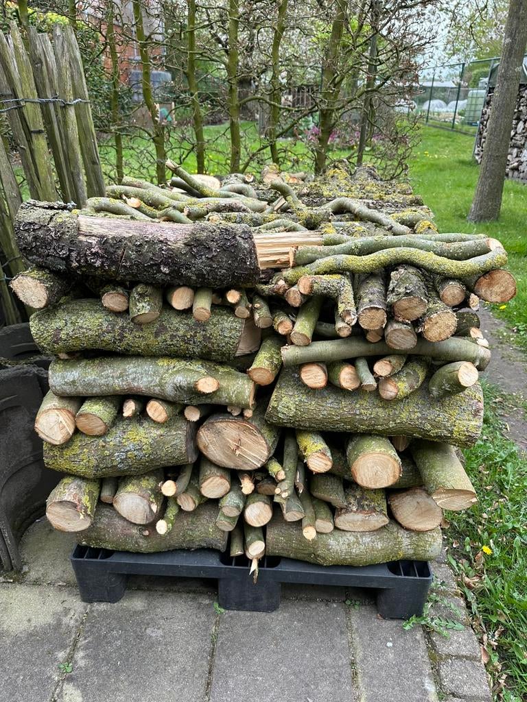 Halve kuub nat wilgenhout, Tuin en Terras, Minder dan 3 m³, Ophalen, Overige houtsoorten, Takken