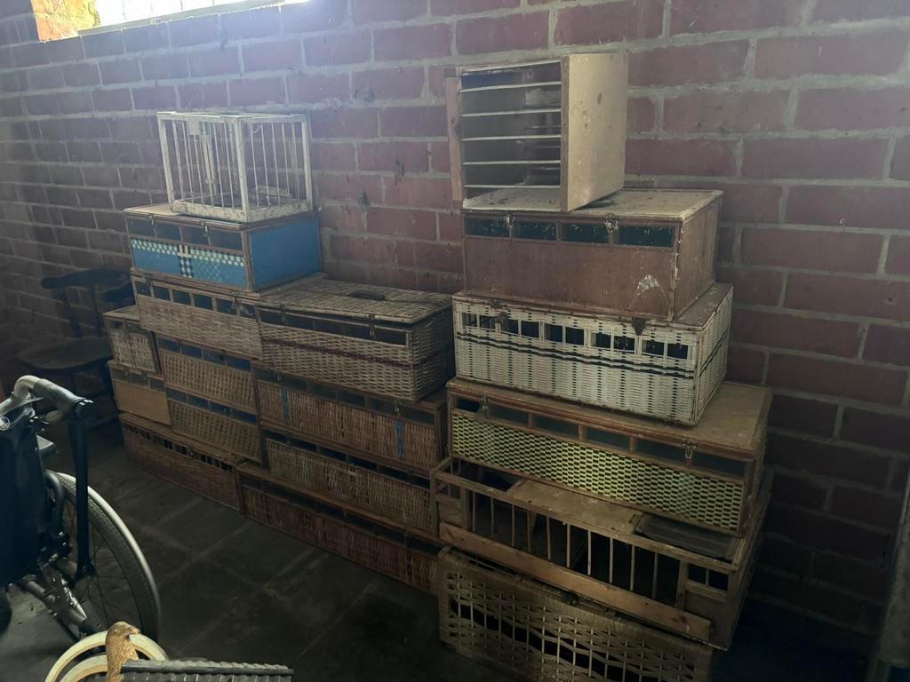 Volledig lot Duivenkoten, Dieren en Toebehoren, Vogels | Hokken en Kooien, Ophalen, Gebruikt, Overige materialen, Overige typen