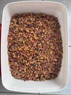 +-10-15kg CRUSHED BOILIES, Enlèvement, Comme neuf