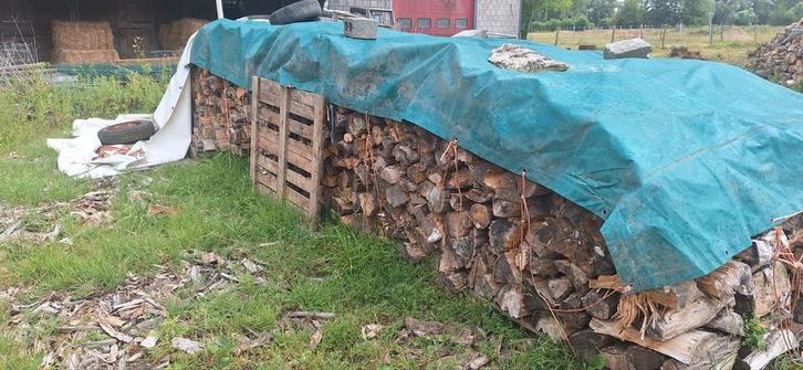 Gekliefd brandhout tekoop, Tuin en Terras, Brandhout, Ophalen