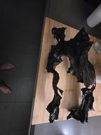 Groote houd aquarium, Ophalen of Verzenden