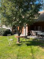 Ancienne table de café avec 2 chaises BIDEN, Enlèvement, Utilisé