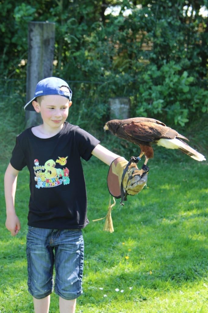 🎉 Anniversaire enfant avec rapace et animaux 🦅, Enlèvement, Neuf